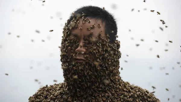 صورت و بدن این زنبوردار ۳۴ ساله در شهر چونگ کینگ چین با زنبورهای عسل پوشانده شده است. او از زنبورهای ملکه برای جمع آوری بیش از ۴۶۰ هزار زنبور استفاده کرده است/Reuters-Euronews
