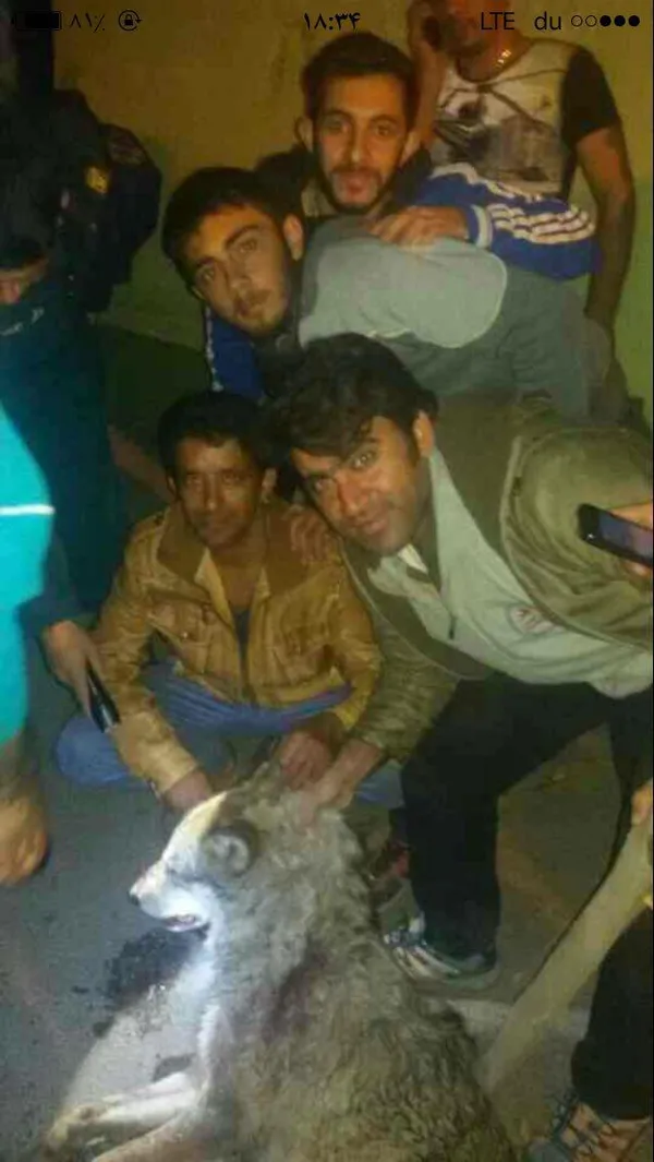 تابناک