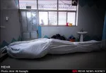 تابناک