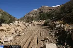 تابناک