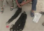 تابناک