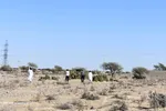 تابناک