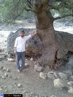 تابناک