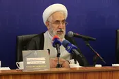 روایت دادستان کل از حجم گزارش‌های مردمی درباره جاسوسی