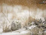 Best of February 2012
