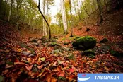 عکس: مسیر رؤیایی خلخال-اسالم: تماشای تنوع اقلیم در یک سفر