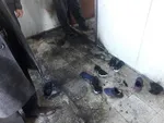 as