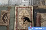 عکس: سنت صدسالهٔ قالی‌بافی در بازار بزرگ تهران