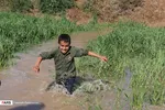 تابناک