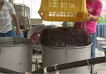 تابناک