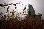 China's Abandoned Wonderland