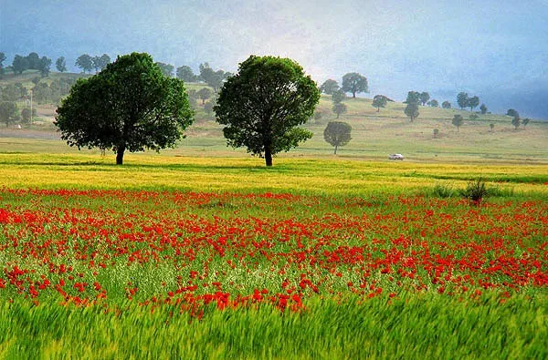 جاده شمال ایران از سمت شرق کشور