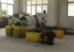 تابناک