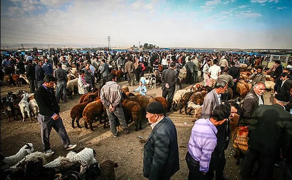 بازار فروش دام و حیوانات بهرمان بزرگ&zwnj;ترین بازار دام و حیوانات استان آذربایجان شرقی بشمار می&zwnj;آید که در ۹۵ کیلومتری جنوب شرق تبریز و در نزدیکی شهرستان سراب واقع شده است./MNA
