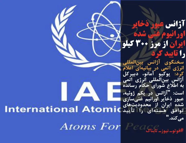 سخنگوی آژانس بین&zwnj;المللی انرژی اتمی در بیانیه&zwnj;ای اعلام کرد: یوکیو آمانو، دبیرکل آژانس بین&zwnj;المللی انرژی اتمی به اطلاع شورای حکام رسانده است: "آژانس در یکم ژوئیه، عبور ذخایر اورانیم غنی&zwnj;سازی شده ایران از محدودیت&zwnj;های توافق هسته&zwnj;ای را تأیید می&zwnj;کند."
