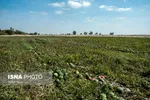 تابناک