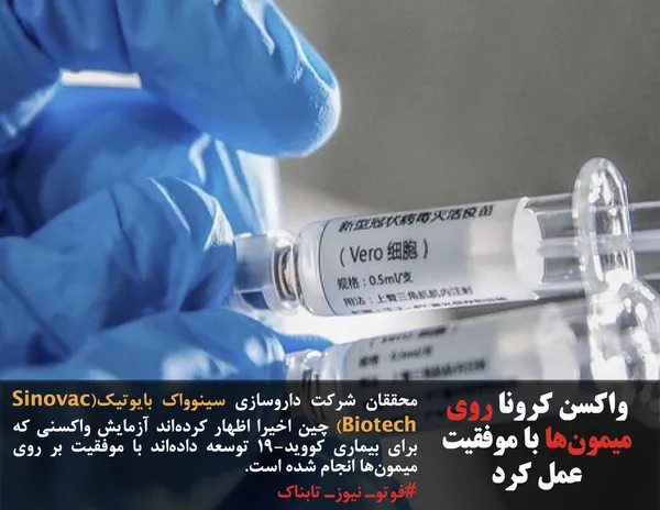 محققان شرکت داروسازی سینوواک بایوتیک(Sinovac Biotech) چین اخیرا اظهار کرده&zwnj;اند آزمایش واکسنی که برای بیماری کووید-۱۹ توسعه داده&zwnj;اند با موفقیت بر روی میمون&zwnj;ها انجام شده است. 
