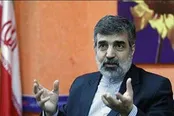 کارِ نشد، برای صنعت هسته‌ای ایران وجود ندارد
