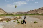 دو
