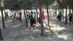 تابناک