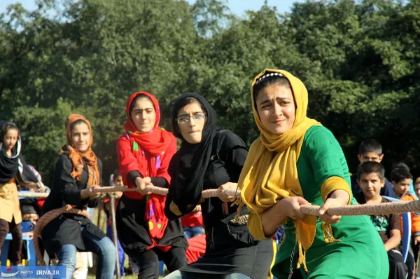 جشنواره برداشت کیوی