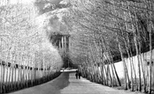 تهران هفتاد سال پیش از نمای آسمان / چگونه از تلفن همراه هوشمند کمتر استفاده کنیم؟ / چرا بهتر است آپشن پارک اتوماتیک را انتخاب کنید؟ / ژن‌هایی که پس از مرگ فعال می‌شوند
