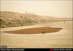 تابناک