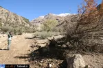 تابناک