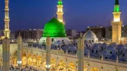 حبیبی ؛ سجاد محمدی