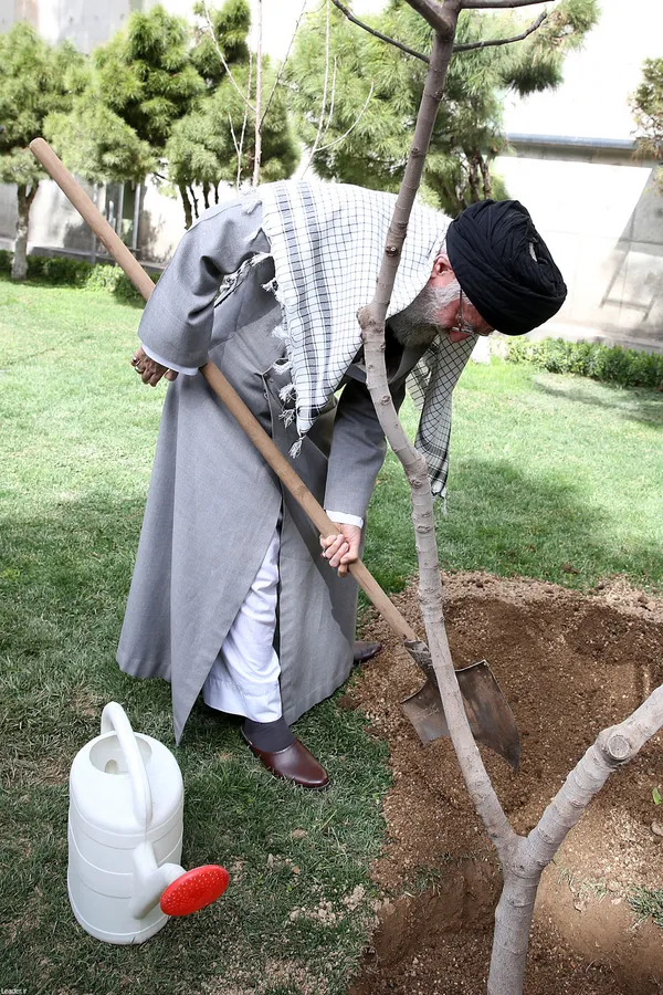 کاشت درخت توسط رهبر انقلاب