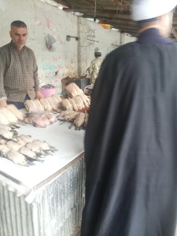 تابناک