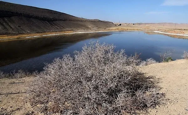 دریاچه &laquo;بزنگان&raquo; تنها دریاچه طبیعی خراسان رضوی به دلیل کاهش شارش چشمه&zwnj;های بالادست که نشأت گرفته از افزایش جمعیت انسانی در بالادست دریاچه، توسعه اراضی کشاورزی و فقدان آب مازاد برای تغذیه دریاچه است، در حال خشک شدن و از دست دادن زیبای اراضی خود است. /TASNIM