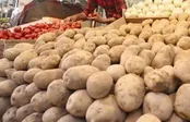 صادرات این محصولات از فارس ممنوع شد
