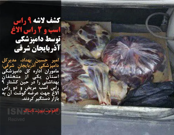 امیر حسین بهداد، مدیرکل دامپزشکی آذربایجان شرقی:  ماموران اداره کل دامپزشکی استان یکی از متخلفان بهداشتی را در حین کشتار ۹ راس اسب مریض و دو راس الاغ جهت عرضه گوشت آن به بازار دستگیر کردند.
