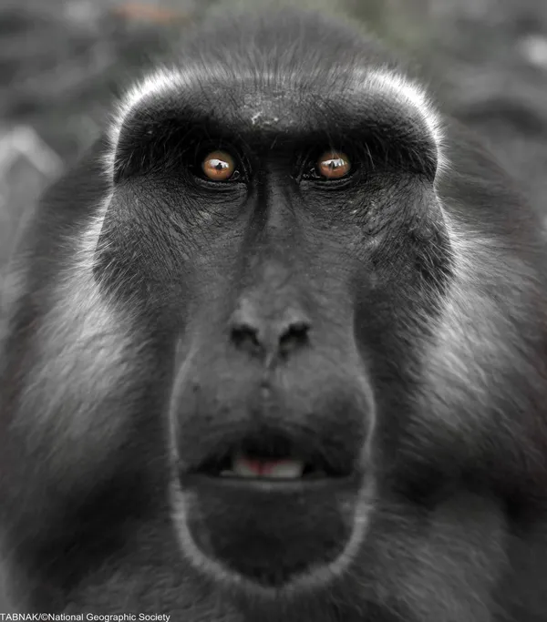 (&copy; Bruce Thionville/National Geographic Traveler Photo Contest)