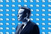 پرنده مُرد؛ «شرکت توییتر» دیگر وجود ندارد
