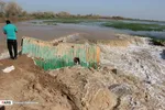 تابناک
