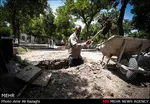 تابناک