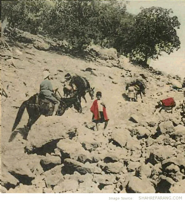 جاده ی شیراز