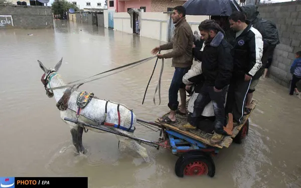 غزه