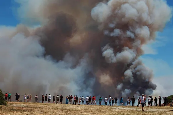 &zwnj;نظاره آتش&zwnj;سوزی بزرگ کالیفرنیا از بالای تپه توسط مردم /
RUARIDH STEWART / ZUMA PRESS"
