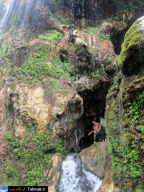 تابناک