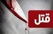 کارآگاهان جنایی در جست‌وجوی قاتلان پسر ۱۱ ساله