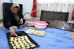 بانوی شالیکار
