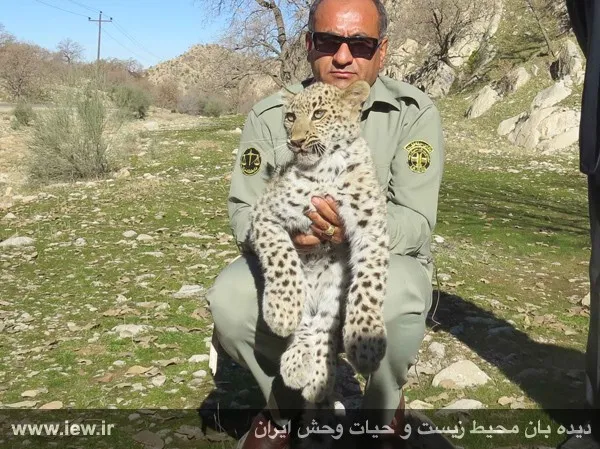 تابناک