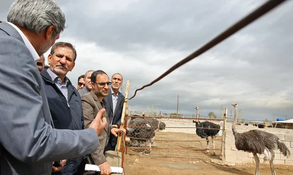 اسحاق جهانگیری معاون اول رییس جمهور روز دوشنبه از چند واحد تولیدی دامپروری و کشاورزی در شهرستان پیشوا (ورامین) بازدید کرد/IRNA
