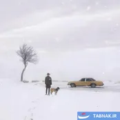 عکس: چشم‌ها و لحظه‌ها؛ سکوتی که سخن می‌گوید