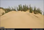 تابناک
