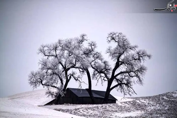 برگزیده بخش "احساس بیرونی"
Patrick Lipsker