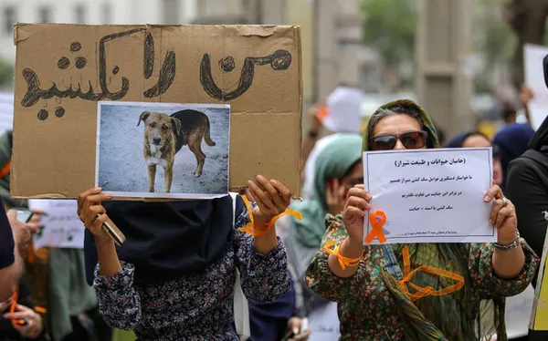تابناک